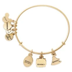Disney Moana Symbols Bangle By Alex And Ani -Disney 2017106755993 3