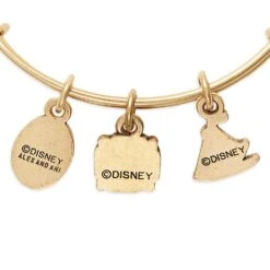 Disney Moana Symbols Bangle By Alex And Ani -Disney 2017106755993 4