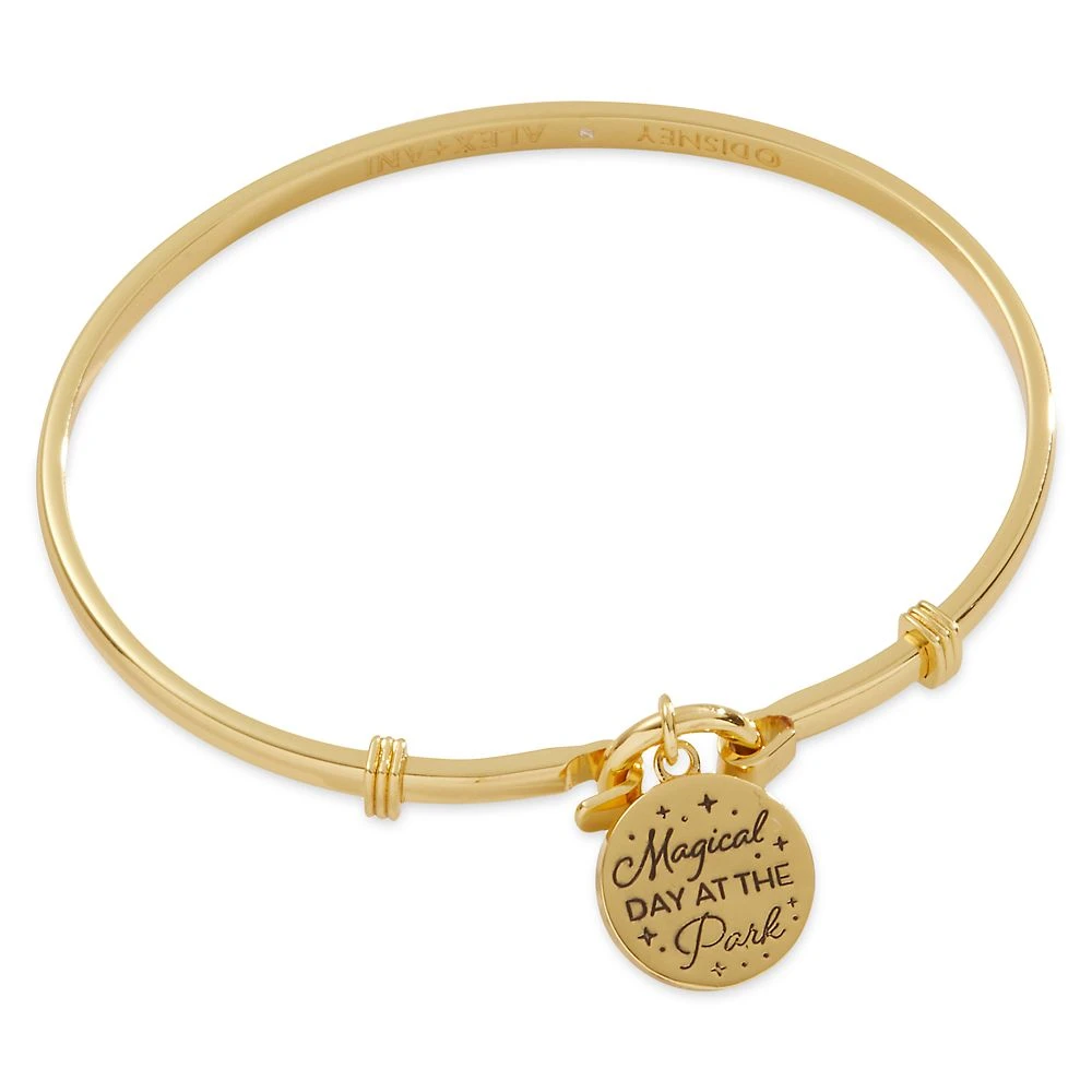 Disney Fantasyland Castle ''Magical Day At The Park'' Bracelet By Alex And Ani 2 Disney Fantasyland Castle ''Magical Day At The Park'' Bracelet By Alex And Ani - Image 2